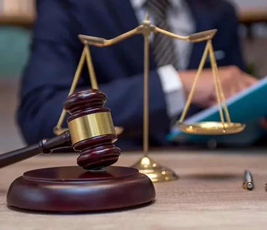 Litigation Support Service