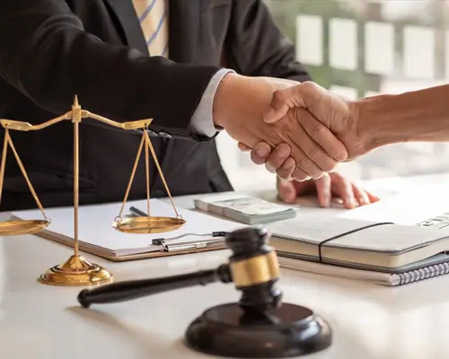 Litigation Support Service