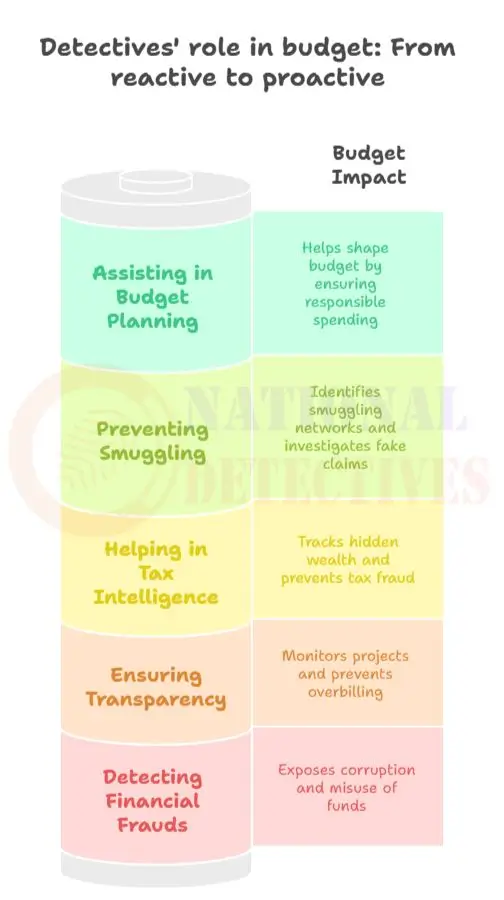 How Detectives Can Help in the Indian Budget