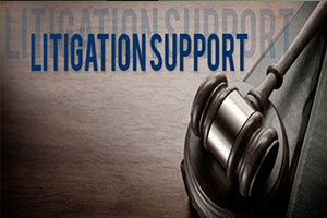 Litigation support