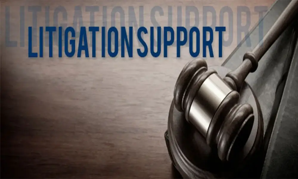 Litigation Support Service